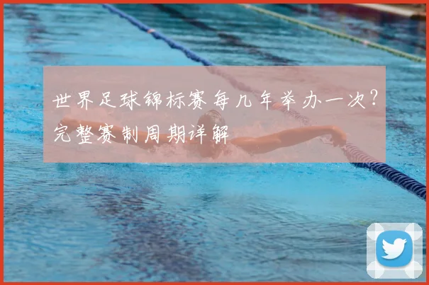 世界足球锦标赛每几年举办一次？完整赛制周期详解