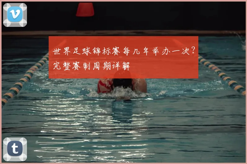 世界足球锦标赛每几年举办一次？完整赛制周期详解
